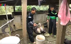 Tết tại huyền miền núi nông thôn mới đầu tiên của khu vực các tỉnh Tây Bắc