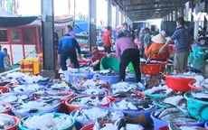Ngư dân các tỉnh Nam Trung Bộ tấp nập mở biển đầu năm