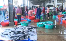 Tấp nập mở biển đầu năm