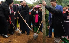 Thủ tướng phát động Tết trồng cây