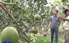 Nông sản giảm giá mạnh do tạm đóng cửa khẩu