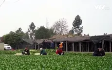 Người dân Trung Quốc hướng về vùng tâm dịch viêm phổi Vũ Hán