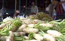 Đồng Tháp vào mùa dưa cải Tết