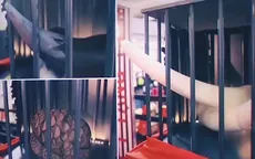 "Mua 1 tặng 15" - Chiến dịch bảo vệ động vật hoang dã