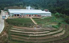 Về thăm Hợp tác xã sở hoa Bình Liêu