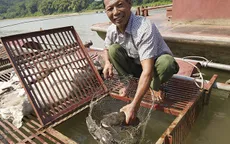 Nuôi thủy sản không đăng ký sẽ bị phạt hành chính