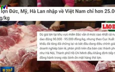 Thịt lợn Đức, Mỹ, Hà Lan nhập về Việt Nam chỉ hơn 25.000 đồng/kg