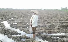 Quyết liệt triển khai các biện pháp ứng phó với hạn mặn ở ĐBSCL