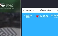Giá cao su giảm