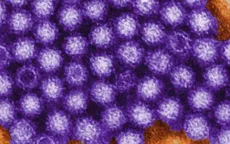 Hàng loạt sinh viên Trung Quốc nghi nhiễm norovirus