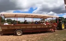 Người dân Mỹ thích thú đi hái táo tại các nông trại