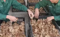9.000 gà giống, 20.000 trứng gia cầm nhập lậu bị thu giữ