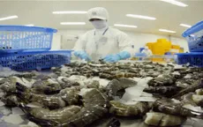 Thủy sản Minh Phú kháng cáo kết luận của Hải quan Hoa Kỳ