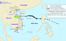 Bão số 9 mạnh tương đương bão Damrey, gây ảnh hưởng lớn ở Trung và Nam Trung Bộ