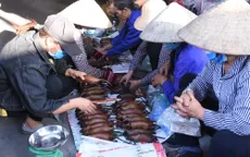 Làng bắt chuột Hải Dương vào mùa đắt hàng