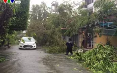 Bão số 9 có thể khủng khiếp tới mức nào?