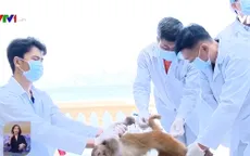 Việt Nam thử nghiệm vaccine COVID-19 trên khỉ
