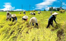 Nhiều nỗi niềm nông dân gửi Thủ tướng