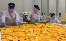 Vùng nguyên liệu lớn - Yếu tố tiên quyết để đặt nhà máy chế biến nông sản