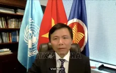 Việt Nam đề cao đối thoại, hòa giải trong giải quyết xung đột tại Congo