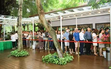 Bất ngờ trước cảnh tượng xếp hàng dài từ sáng sớm để xem nhà mẫu và mua nhà tại Ecopark