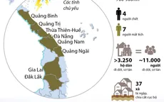 [INFOGRAPHIC] Miền Trung sơ tán khẩn cấp 11.000 người, 11 người chết và mất tích do mưa lũ