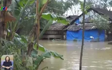 Hàng ngàn hộ dân vùng trũng ở Quảng Trị bị ngập lụt trở lại