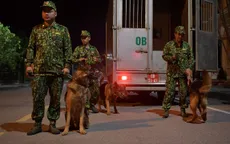 Xem những chú chó nghiệp vụ có nhiệm vụ đặc biệt "trổ tài"