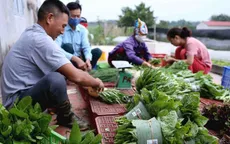 Đến 2025, thành lập mới 10.000 tổ chức kinh tế tập thể