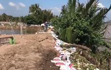 Nhiều đoạn đê bao bị vỡ do triều cường, hàng chục nghìn ha lúa và hoa màu ngập úng