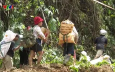 Người dân vùng sạt lở Trà Vân mở kho thóc, đùm bọc nhau qua khó khăn