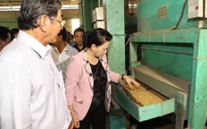 Chủ tịch Quốc hội: Không để xảy ra tình trạng giả gạo thơm ST25 "ngon nhất thế giới"