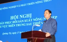 Chính phủ hỗ trợ khẩn miền Trung 1.250 tỷ đồng, 21,53 triệu USD từ nước ngoài chuyển về