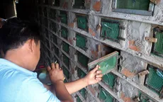 Nuôi loài cực độc, nông dân miền Tây bỏ túi 100 triệu đồng/tháng