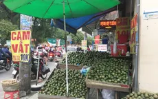 Trái cây đang có giá rẻ không tưởng, chất đầy các hè đường TP.HCM