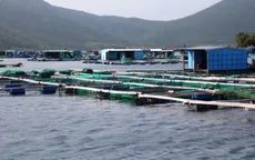 Kiên quyết di dời người dân trên lồng bè trước bão số 10