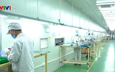 Nhiều doanh nghiệp đón tín hiệu phục hồi khả quan
