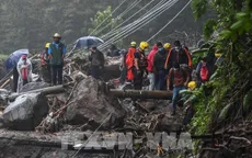 Bão Eta gây lở đất kinh hoàng tại Guatemala, hơn 100 người thiệt mạng