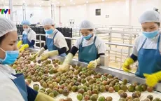 Kết nối giao thương và tổ chức xúc tiến thương mại