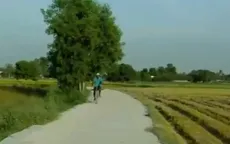 Chuyện chưa kể về con đường đẹp ở Núi Tô, An Giang