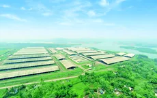 Ngỡ ngàng thủ phủ bò sữa Việt Nam