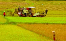 Thủ tướng cho phép chuyển mục đích sử dụng đất trồng lúa tại 3 tỉnh