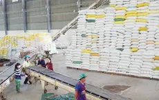 EAEU dành 10.000 tấn gạo hạn ngạch thuế quan cho Việt Nam năm 2021