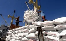 Giá gạo xuất khẩu Việt Nam cao nhất 9 năm do khan hiếm container