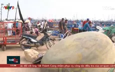 Nổ mìn đánh cá- vì sao khó ngăn chặn?