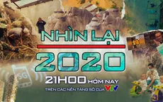 Ai sẽ góp mặt trong Nhìn lại 2020 cực "mặn" của VTV (21h00 23/12)?