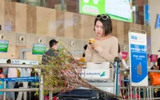 Hàng không tấp nập nhận chuyển mai, đào Tết