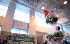 VTV Christmas go Green - Lung linh sắc màu Giáng sinh tại Đài Truyền hình Việt Nam
