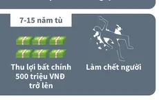 Tổ chức, môi giới xuất, nhập cảnh trái phép có thể ngồi tù tới 15 năm