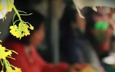 Mùa dịch COVID - 19: Nỗi lo cơm áo và bạo hành